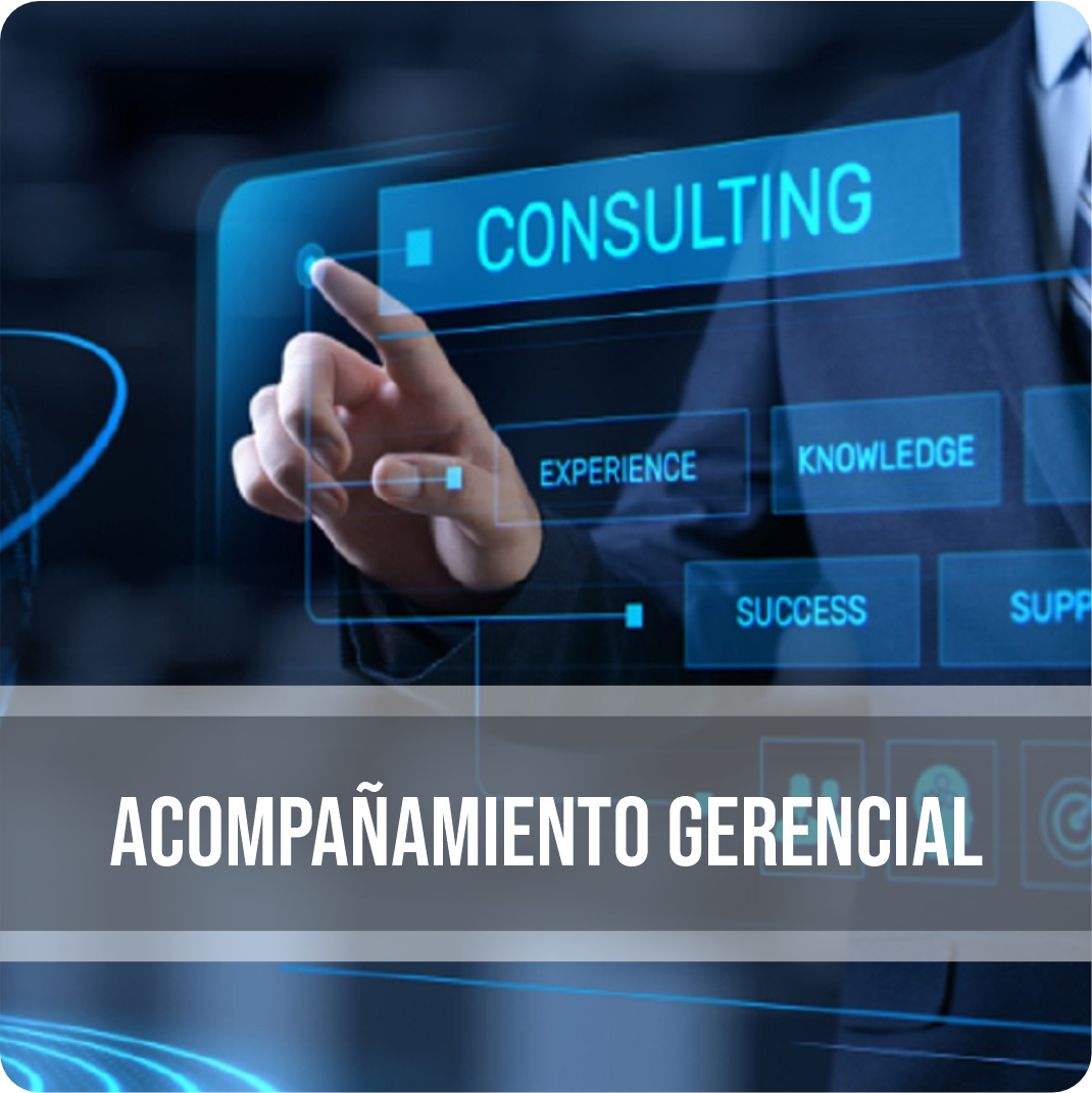 Acompañamiento gerencial