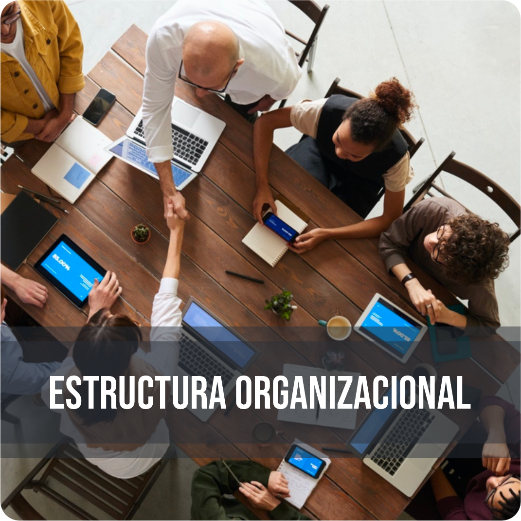 Estructura organizacional