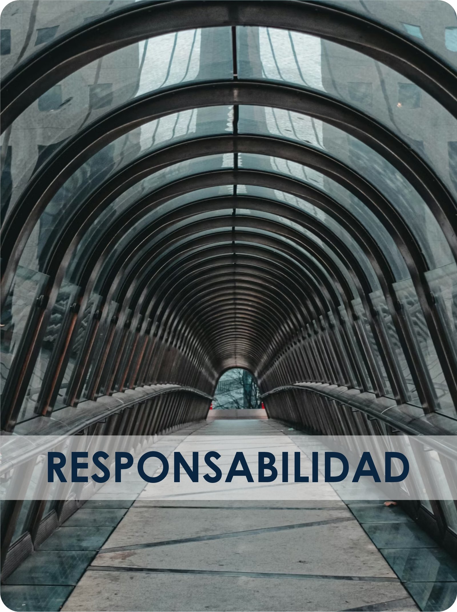 Responsabilidad